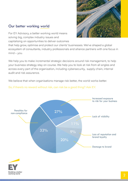 Newsletter Design - Ernst & Young