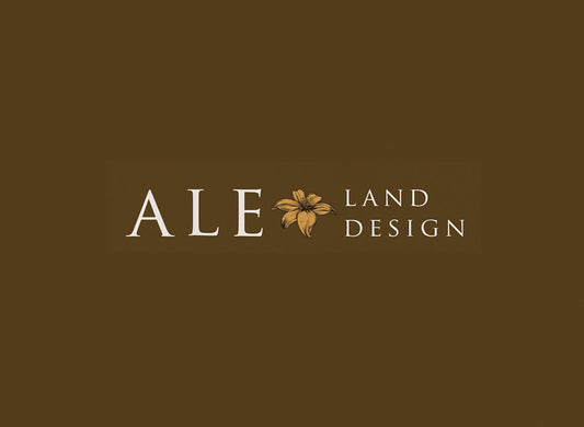 Sydney’s top logo designers excel in creating distinctive visuals that drive brand success