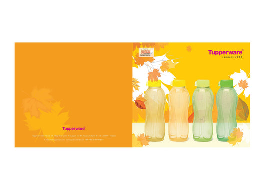 In Cordova, the top ad design agency creates engaging ads and professional product photography for various industries