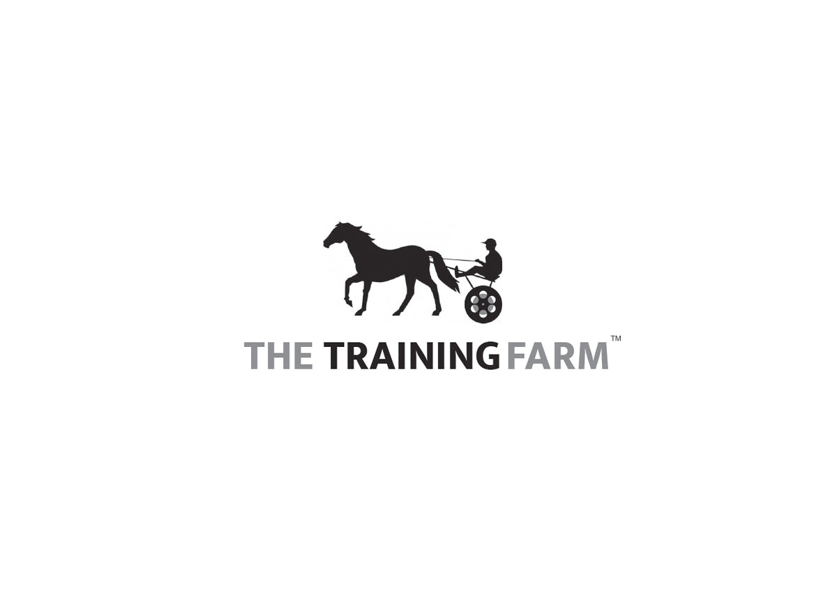 Top logo designers in New York are celebrated for their creative and visionary approach
